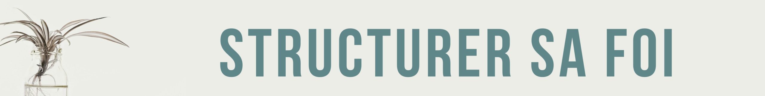 Banniere_structurerFoi